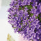 Tuinplanten