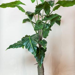 Collection image for: Kunstplanten