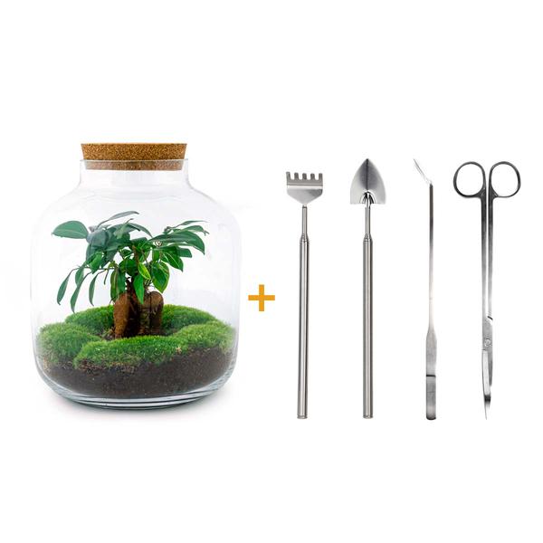 DIY terrarium - Billie Bonsai - ↕ 29 cm - Rake + Shovel + Tweezer + Scissors