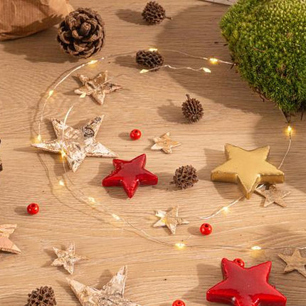 Planten terrarium pakket - Mini-kerstboom - 3 planten -  Navulling & Startpakket - DIY Christmas