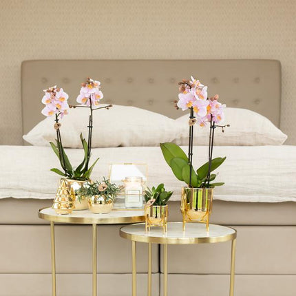 Kolibri Home | Ornament - Decoratie beeld Kerstboom - 12cm hoog - Gold