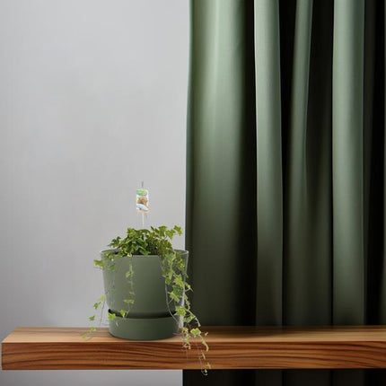 Hedera Helix Geelbont - Hangpot Wit / Basic - Ø17cm - ↕cm