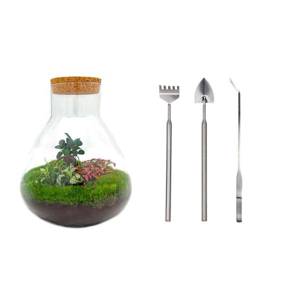 DIY terrarium - Sam XL Bonsai - ↕ 35 cm - Rake + Shovel + Tweezer