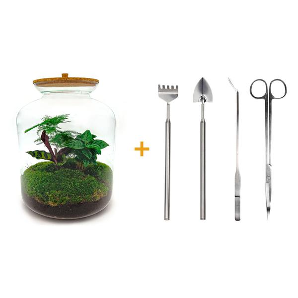 DIY terrarium - Lukas - ↕ 33 cm - Rake + Shovel + Tweezer + Scissors