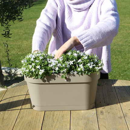 Campanula Addenda Ambella white - Balkonbak taupe met 3 stuks campanula potmaat 12cm - Incl. ophangsysteem - Klokjesbloem wit - vaste planten - tuinplanten