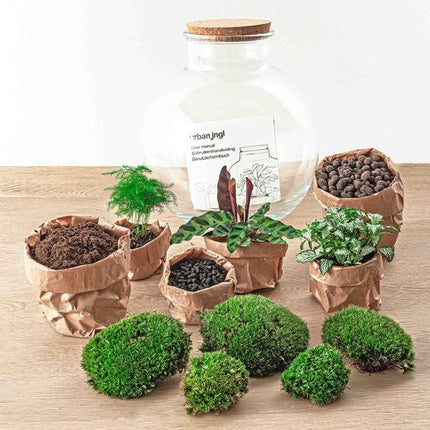 DIY terrarium - Bolder Bob - ↕ 30 cm - Rake + Shovel + Tweezer