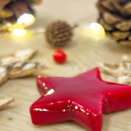 Christmas Terrarium Decoration Kit!
