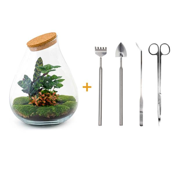 DIY terrarium - Drop XL Rood - ↕ 37 cm - Rake + Shovel + Tweezer + Scissors