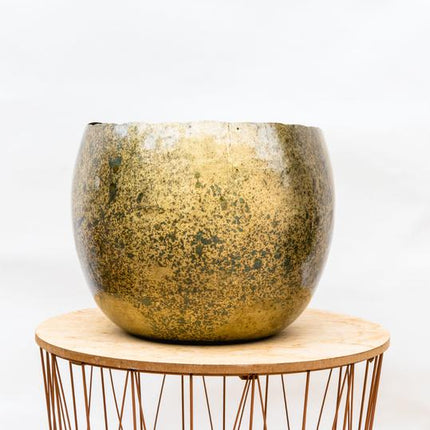 Ellen Brass - 25x19