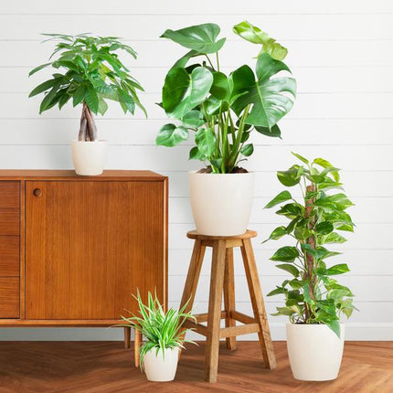 Easy care Plantenbox - medium - met vibers pot wit