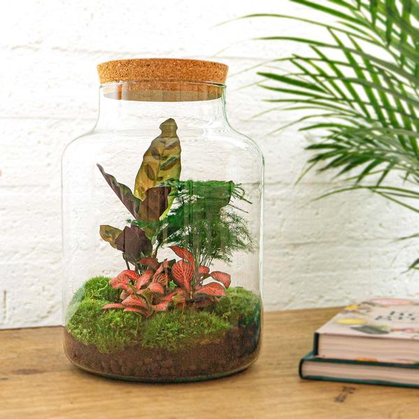 DIY terrarium - Milky - ↕ 30 cm - Rake + Shovel