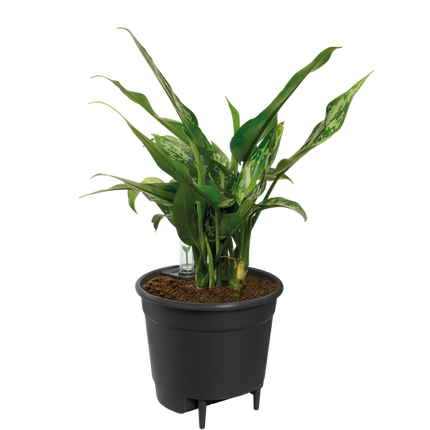 Self Watering Insert - 43 cm