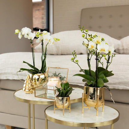 Kolibri Home | Ornament - Decoratie beeld Kerstboom - 12cm hoog - Gold