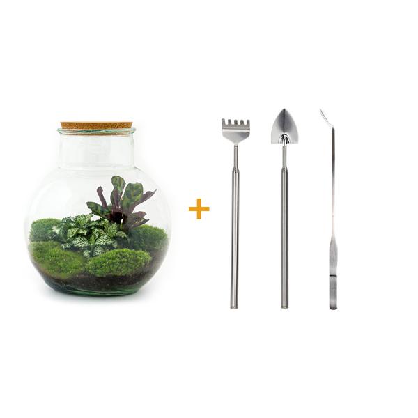 DIY terrarium - Teddy - ↕ 26,5 cm - Rake + Shovel + Tweezer