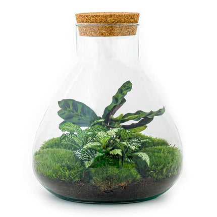 DIY terrarium - Sammie - ↕ 27 cm - Rake + Shovel