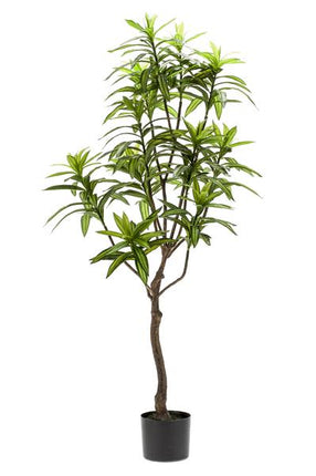 Kunstplant - Dracaena - Drakenboom - 130 cm