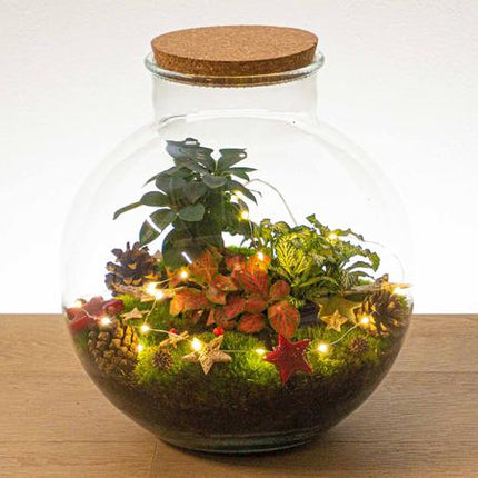 Christmas Terrarium Decoration Kit!
