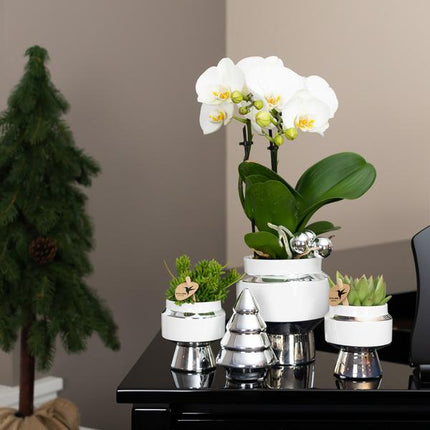 Kolibri Home | Ornament - Decoratie beeld Kerstboom - 12cm hoog - White