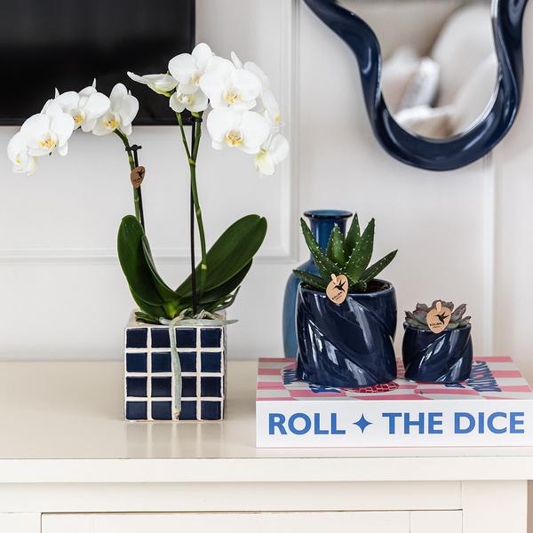 Kolibri Home | Candy sierpot - Blue - Ø9cm