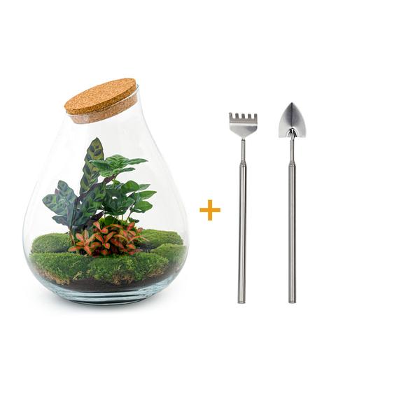 DIY terrarium - Drop XL Rood - ↕ 37 cm - Rake + Shovel