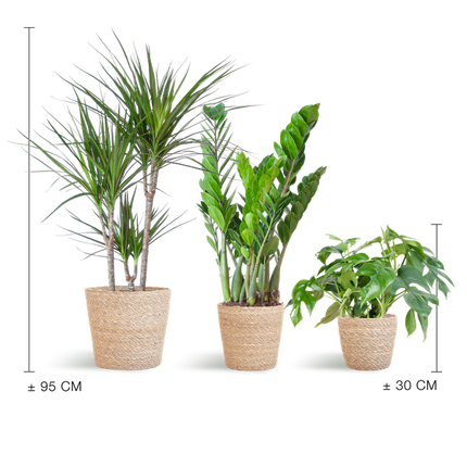 Schaduw Plantenbox - medium - met mand Sofia