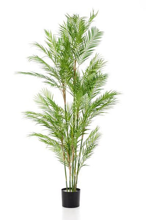 Kunstplant - Chamaedorea Elegans - Bergpalm - 180 cm