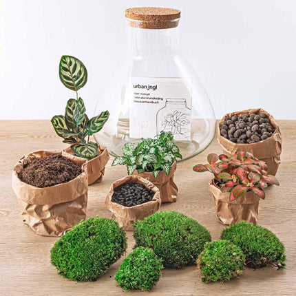 DIY terrarium - Sam XL Rood - ↕ 35 cm - Rake + Shovel + Tweezer