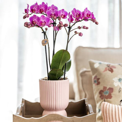 Kolibri Home | Diabolo pot pink - Ø6cm